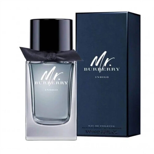 عطر ادکلن مستر باربری ایندیگو